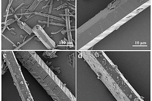 负载氮化钛的纤维管状氮化碳/氮化碳同质结三元复合材料及其制备方法和应用