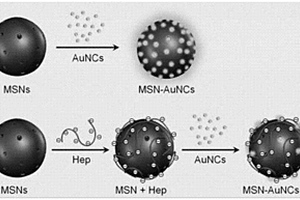 MSN-AuNCs纳米复合材料及其制备方法和应用