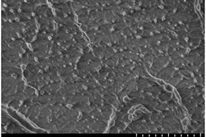 纳米沸石颗粒改性聚乙烯复合材料及其制备方法