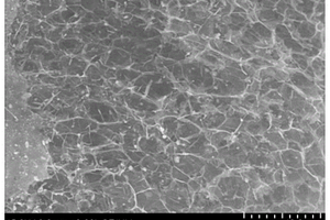三维石墨烯/碳纳米管交联复合材料的制备方法