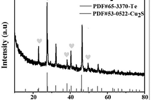碲-硫化亚铜异质结复合材料及其制备方法和用途