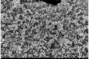 低纳米零价铁和纳米银负载量净水炭复合材料的制备方法