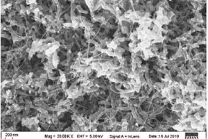 多壁碳纳米管/聚苯胺纳米纤维复合材料超级电容器电极的制备方法