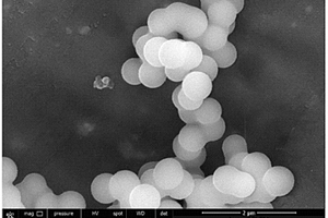 二氧化钛量子点/碳球复合材料及其制备方法