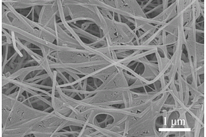 原位合成氮化硼纳米片-纳米管复合材料及其制备方法