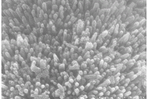类海胆状二氧化钛/氧化亚铜复合材料、其制法与应用