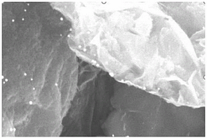 石墨烯-稀土掺杂氧化锌纳米陶瓷微滤膜复合材料制备方法