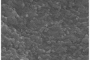氧化石墨烯/普鲁士蓝纳米颗粒复合材料固相微萃取探针及其制备方法和应用