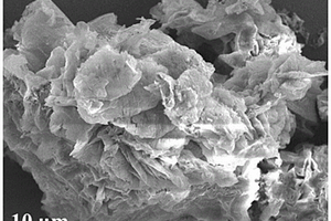 氮化碳纳米片-金纳米颗粒复合材料及其制备方法和应用