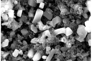 掺杂改性的碳包覆的磷酸钛钠复合材料及其制备方法和应用