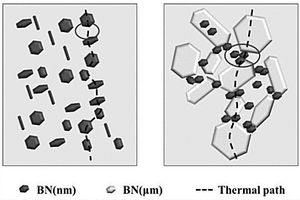 纳米-微米氮化硼/聚酰亚胺复合材料的制备方法