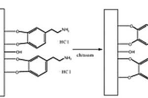 生物功能化的碳/碳复合材料及其制备方法