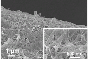 二硒化钴修饰碳纤维复合材料及其制备方法和应用
