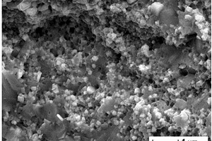 纳米TiC颗粒增强铝基复合材料的制备方法