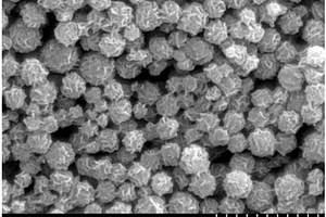 球形的氮掺杂碳材料与过渡金属氧化物的复合材料及其制备方法