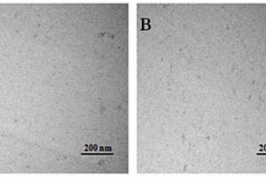 纳米MoS<sub>2</sub>/碳纳米管/双马来酰亚胺树脂复合材料及其制备方法