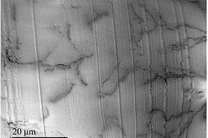 石墨烯高分子复合材料中石墨烯分散性的扫描电子显微镜表征方法