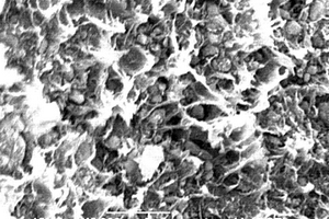 羟基磷灰石/聚乳酸复合材料的制备方法