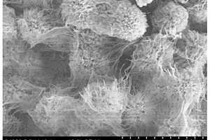 纳米钛酸钾晶须增强耐高温尼龙复合材料及制备方法