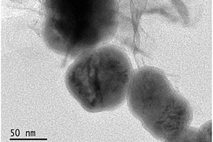 纳米零价铁负载亲水性多孔生物炭复合材料的制备方法