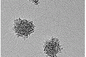 纳米生物活性玻璃水凝胶复合材料及其制备方法