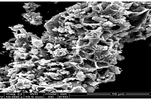 金属钒酸盐纳米复合材料及其制备方法和锂离子二次电池