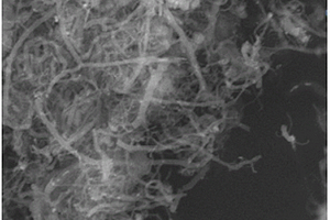 石墨烯/碳纳米管复合材料的制备方法