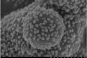 球状纳米三氧化钨/二氧化锡复合材料的制备方法
