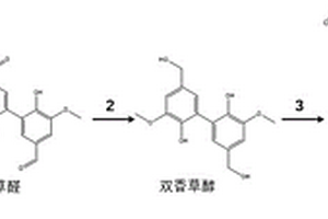 生物基树脂基体材料、碳纤维生物基树脂复合材料及其制备方法