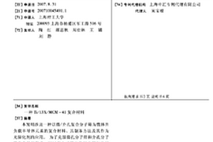 TI/13X/MCM-41复合材料
