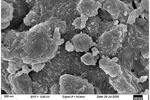 β-内酰胺类抗生素多模板分子印迹磁性复合材料及其制备方法与应用