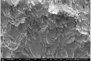 硼酸镁晶须增强聚碳酸酯复合材料的制备方法