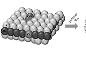 有机改性MoCdS<sub>3</sub>复合材料及其合成方法和应用