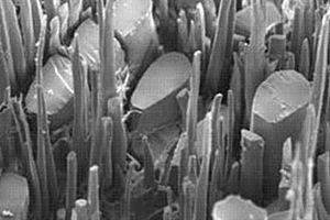 基于纳米层状粘土掺杂的木材－有机－无机杂化纳米复合材料的制备方法
