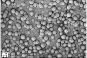高体积分数碳化硅颗粒增强铝基复合材料化学镀镍层的制备方法
