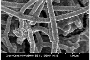 生物质基二氧化锰-碳纤维复合材料及其制备方法
