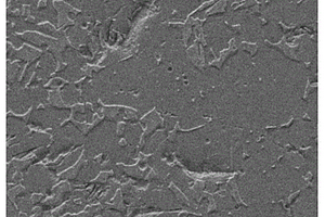 石墨烯增强Nb-Si基复合材料的深冷处理方法