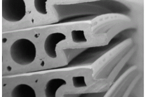 ASA树脂共挤PVC基木塑复合材料及其制备方法和应用