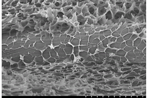 纤维增强聚酰亚胺基复合材料及制备方法