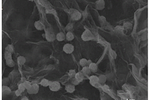 锌钴硫化物/石墨烯复合材料及其制备方法和应用