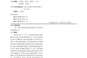 二氧化钛纳米线与硫化铅量子点复合材料的制备方法