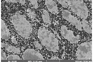 高致密银基钨掺杂二氧化钒复合材料的制备方法