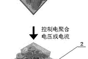 TiO2纳米管阵列管与管空间填充聚乙撑二氧噻吩的复合材料及其制备方法和应用