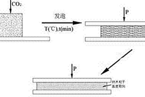 纳米粒子在聚合物基体中高度取向的聚合物基纳米复合材料的制备方法