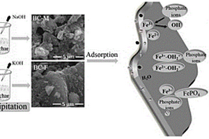 生物炭/铁氧化物复合材料的制备方法和应用