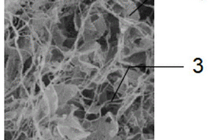 氮化硼纳米片改性炭化细菌纤维素/碳纤维织物基复合材料及其制备方法