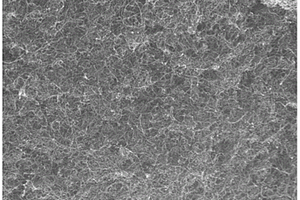 碳纳米管增强铜基层状复合材料的制备方法