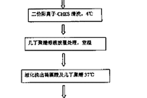 制备胶原蛋白和生物陶瓷粉末复合材料微粒的方法