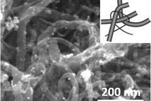 多级结构碳纳米管/二氧化锡复合材料及其制备方法