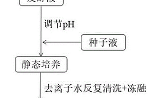 原位矿化制备无定型二氧化硅/细菌纤维素复合材料的方法